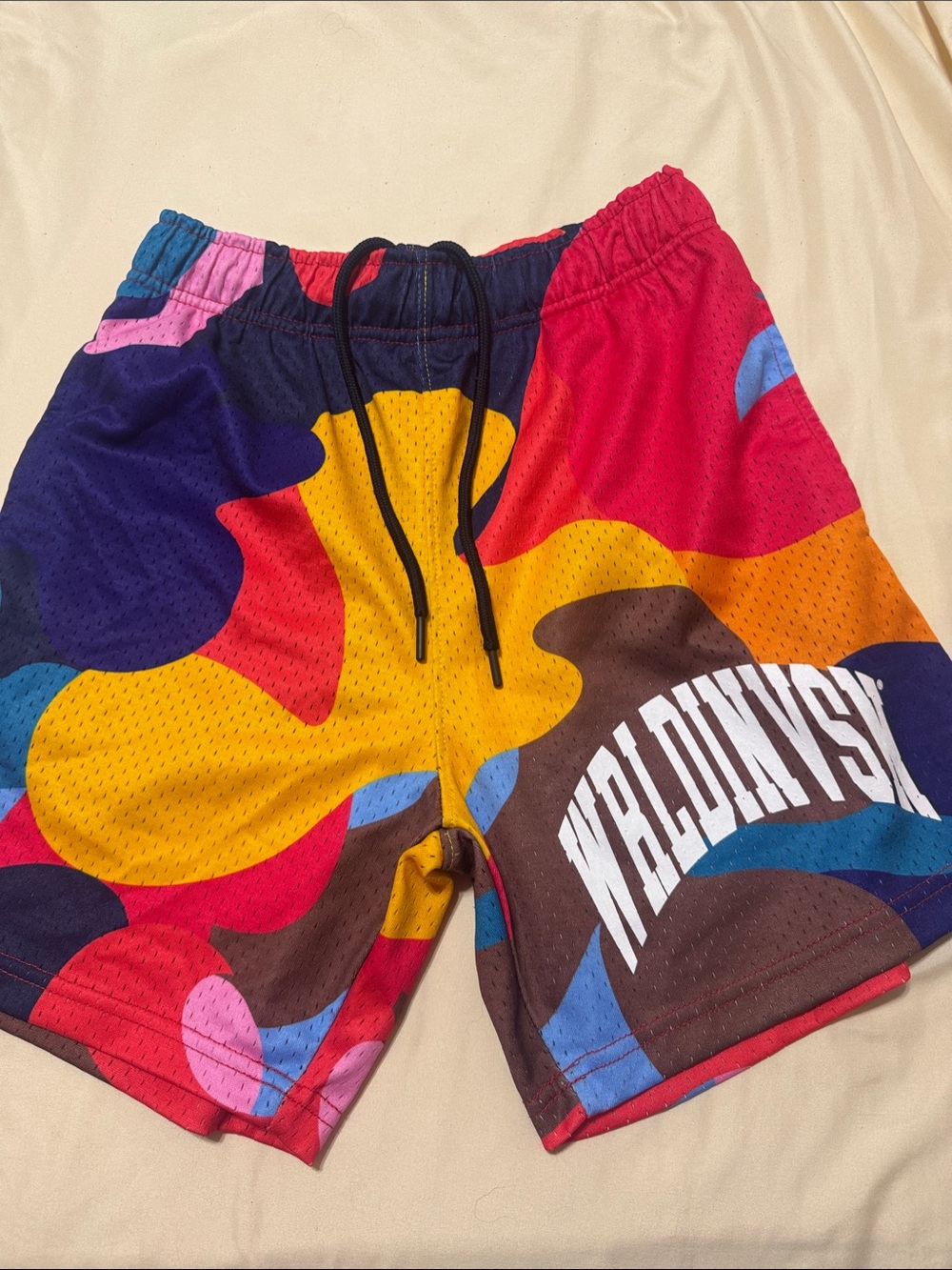 Wrldinvsn Multicolor Men's Athletic Mesh Shorts